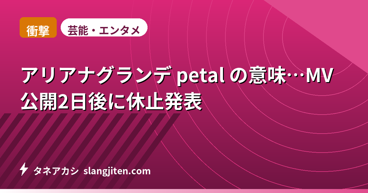 【衝撃】アリアナグランデ petal の意味…MV公開2日後に休止発表