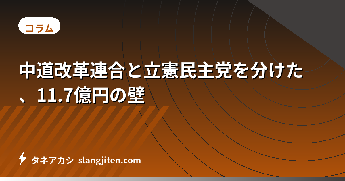 中道改革連合と立憲民主党を分けた、11.7億円の壁