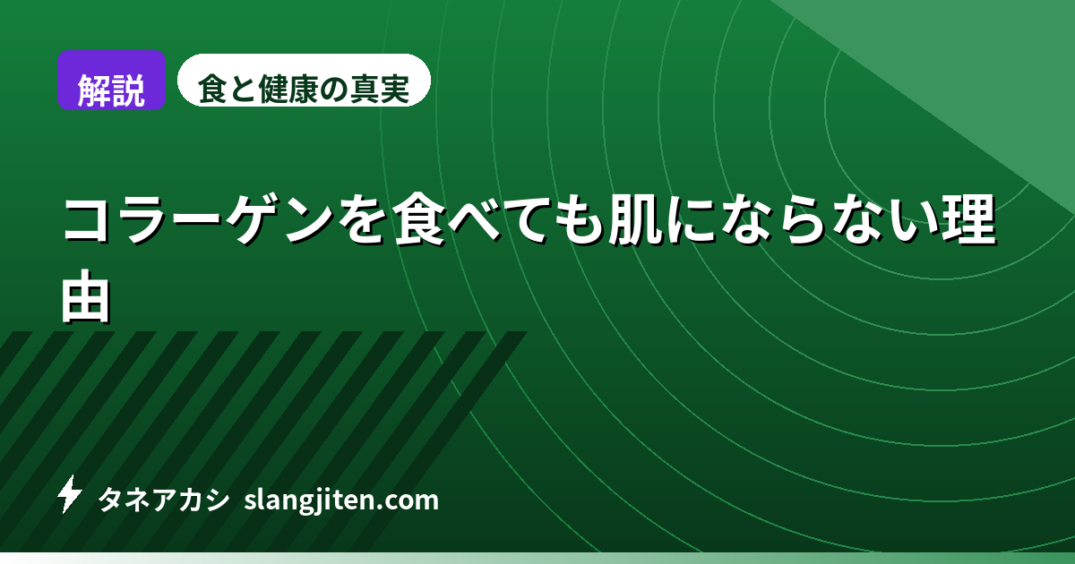 【解説】コラーゲンを食べても肌にならない理由