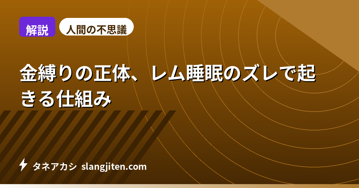 【解説】金縛りの正体、レム睡眠のズレで起きる仕組み