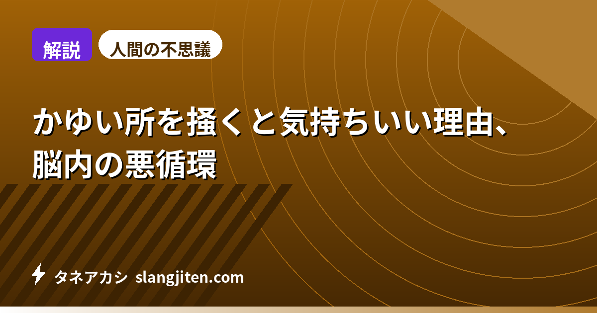 【解説】かゆい所を掻くと気持ちいい理由、脳内の悪循環