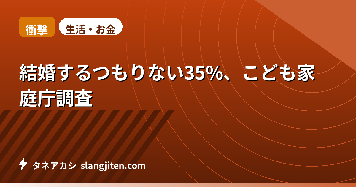 【衝撃】結婚するつもりない35%、こども家庭庁調査