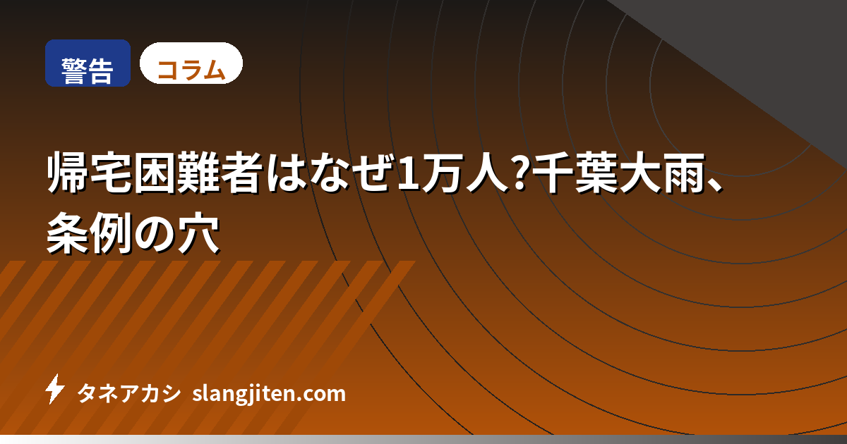 【警告】帰宅困難者はなぜ1万人?千葉大雨、条例の穴