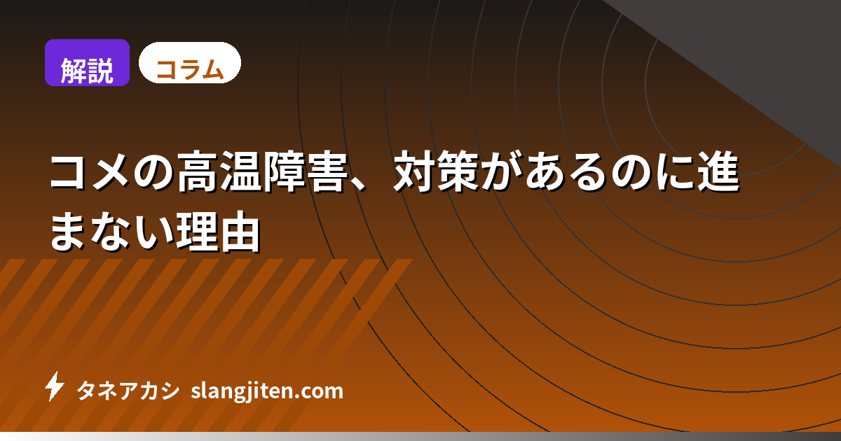 【解説】コメの高温障害、対策があるのに進まない理由