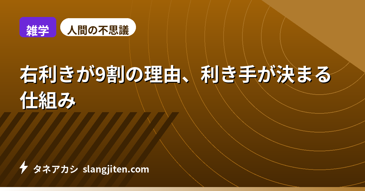 【雑学】右利きが9割の理由、利き手が決まる仕組み