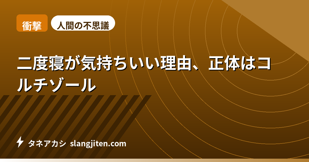【衝撃】二度寝が気持ちいい理由、正体はコルチゾール