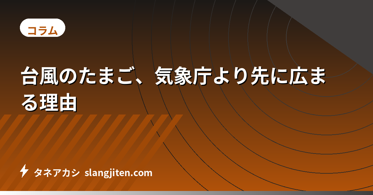 台風のたまご、気象庁より先に広まる理由