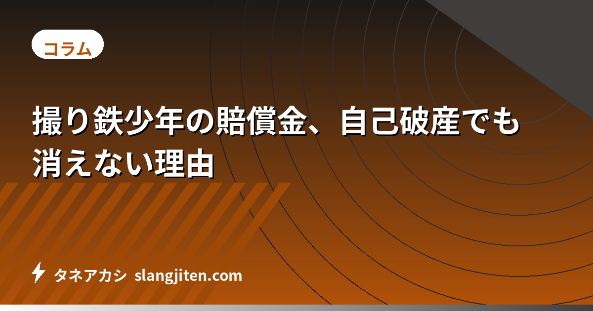 撮り鉄少年の賠償金、自己破産でも消えない理由